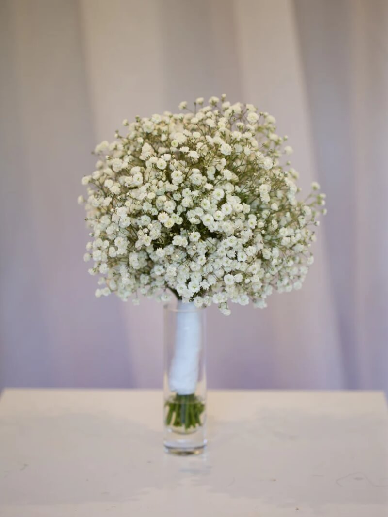 baby breath flowers delivery boxed melbourne